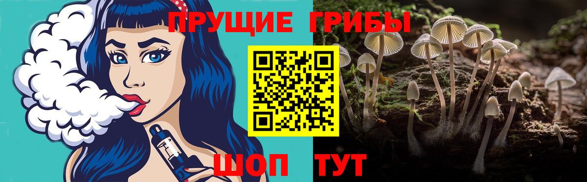 Нижний Новгород  Псилоцибиновые грибы Psilocybine cubensis  Вход с VPN  продажа наркотиков  Псилоцибиновые грибы Cubensis 